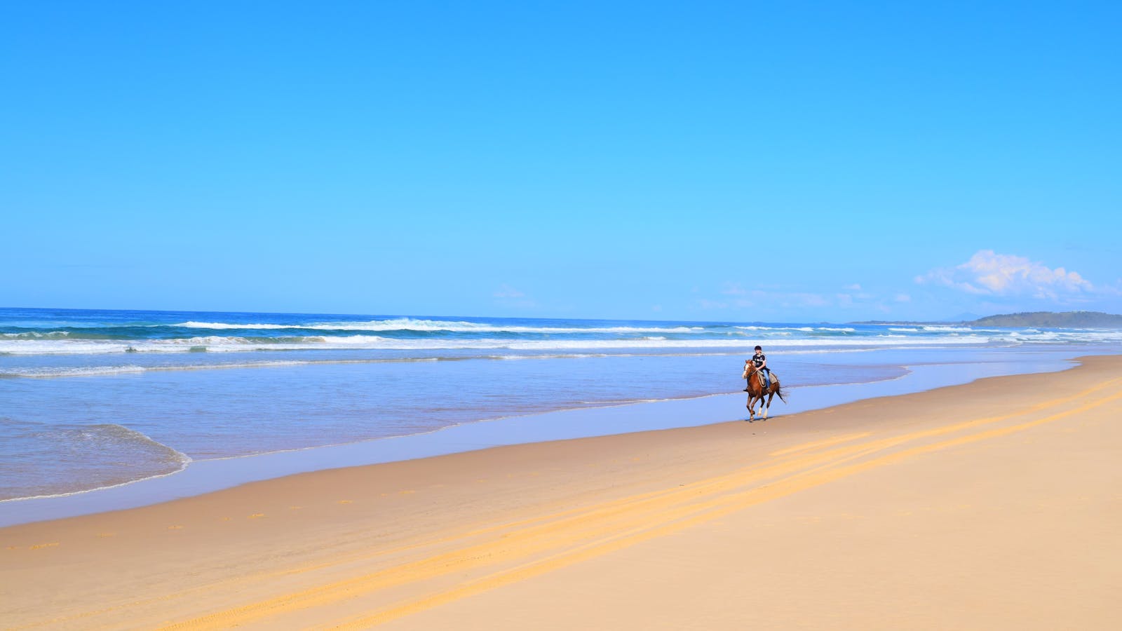 HWH Stables - Riding School and Trail Rides