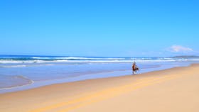 HWH Stables Beach Riding