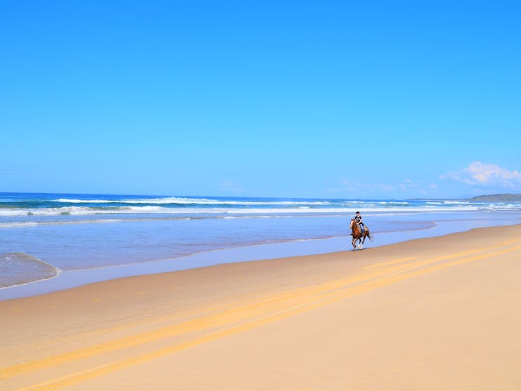 HWH Stables Beach Riding