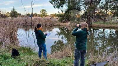 two people by a river looking for platypus