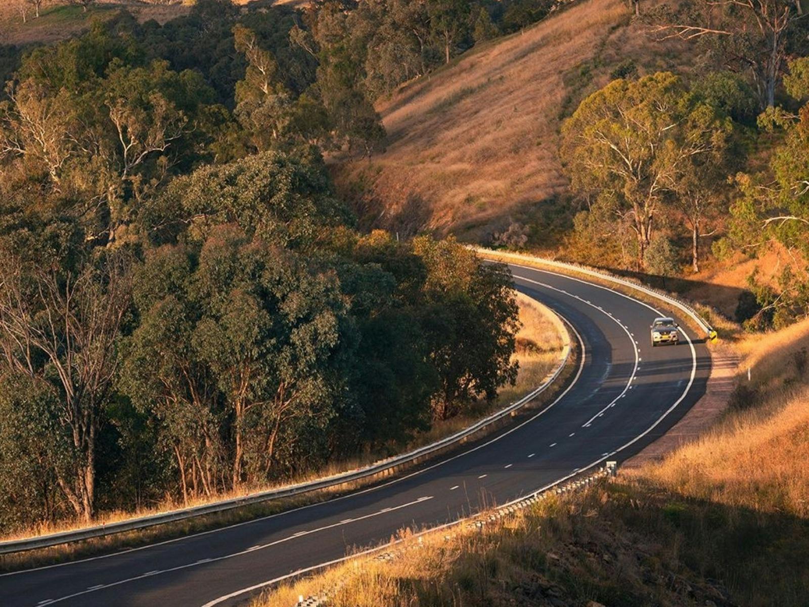 車輛行駛在鬱鬱蔥蔥的林間道路上，周圍環繞著大自然。