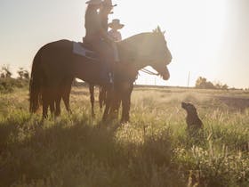 Balonne Cutting Horse Futurity Cover Image