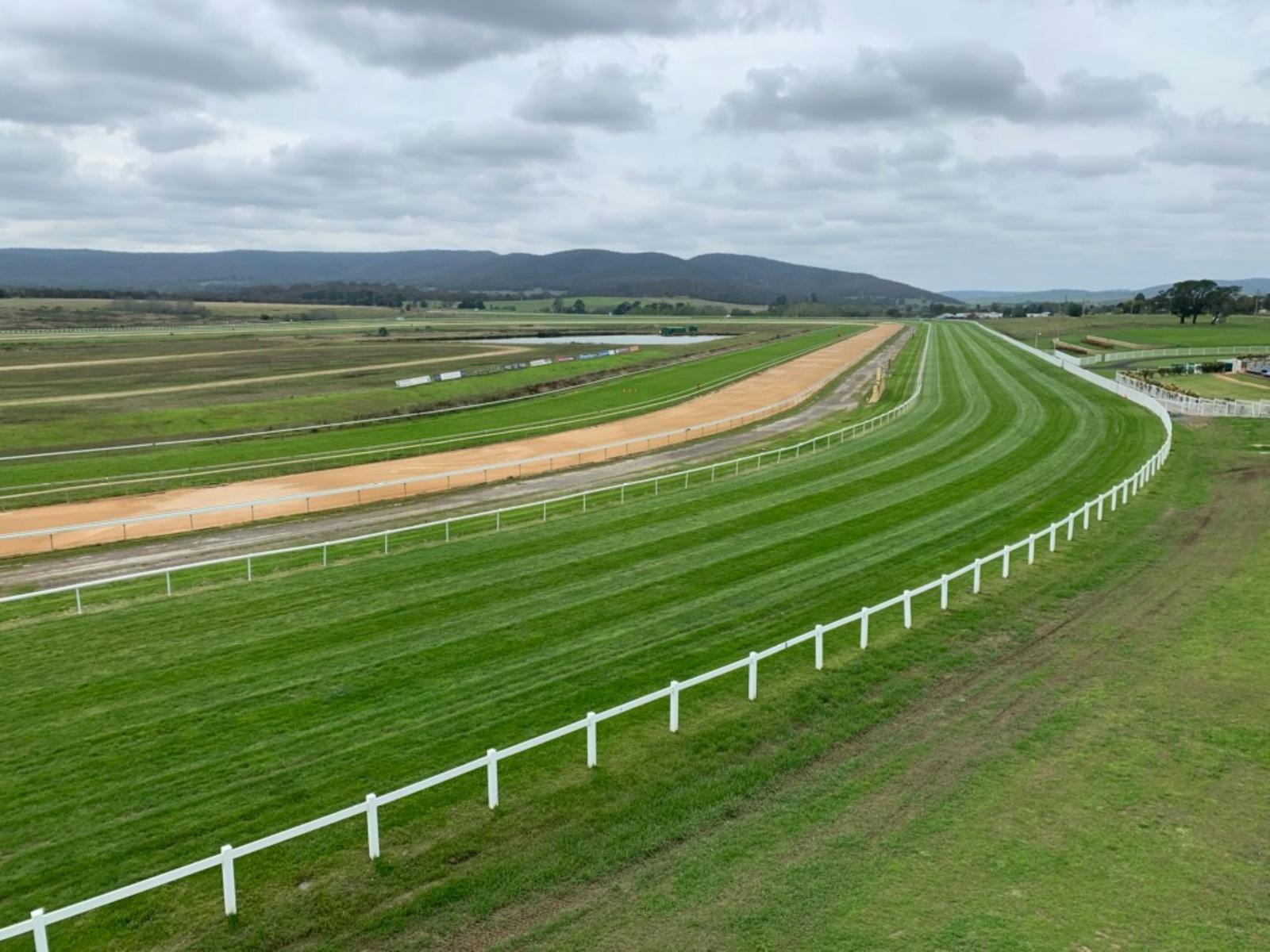 Image for Goulburn Cup