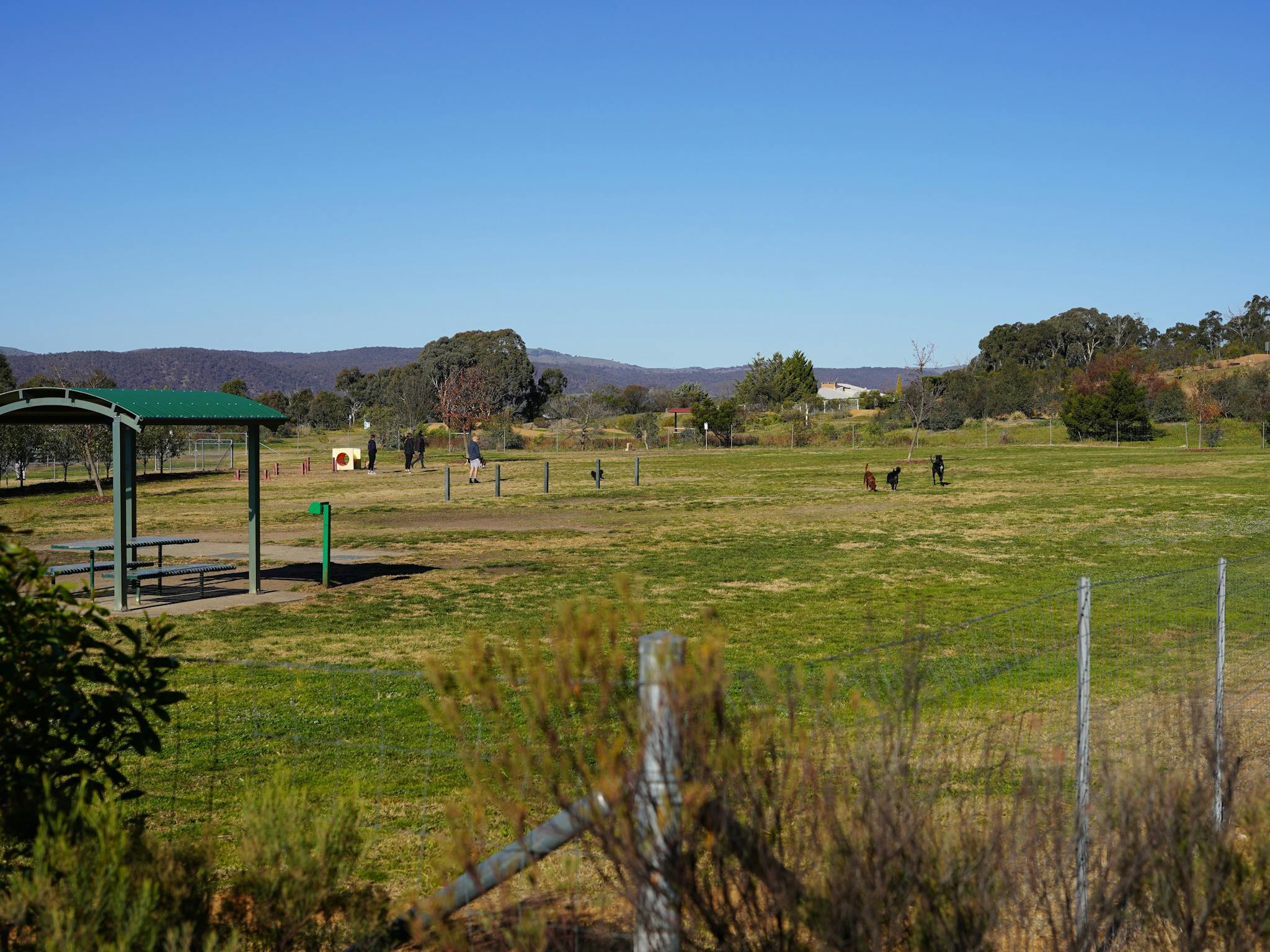 Dog Park