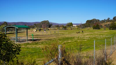 Dog Park