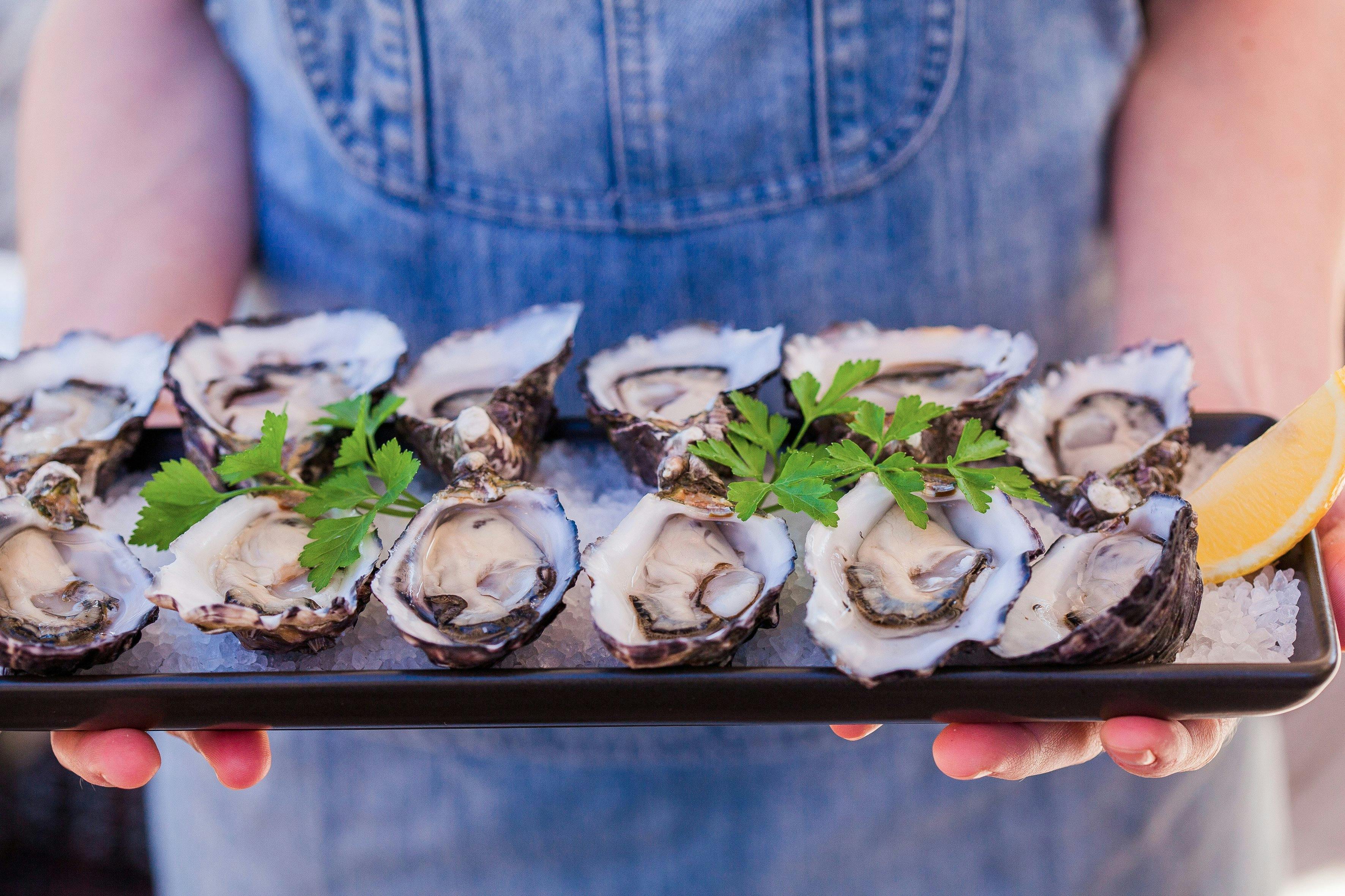 1802 Oyster Bar Port Lincoln, South Australia