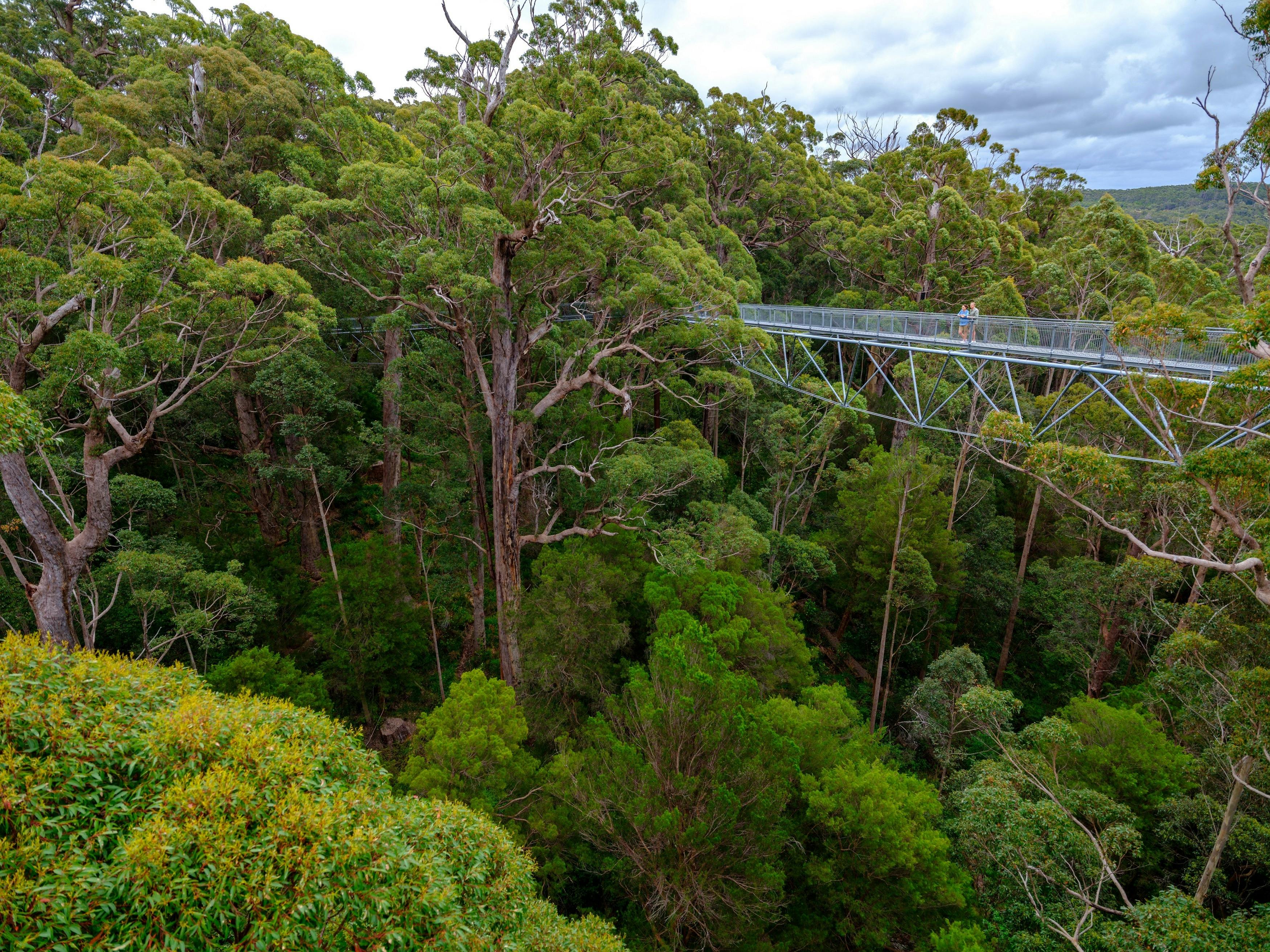 Albany, Denmark and Walpole itinerary, Western Australia