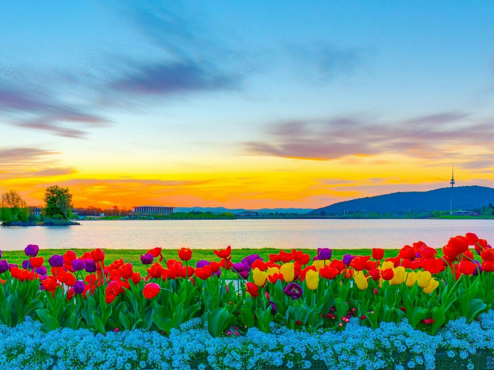 Floriade