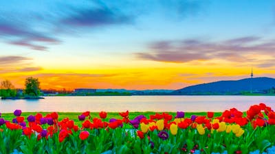 Floriade