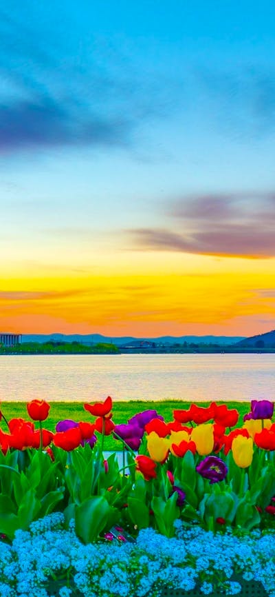 Floriade