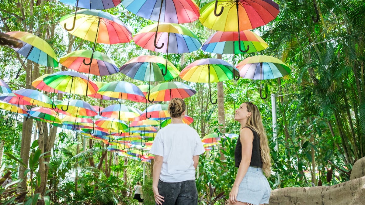 The Rainbrella Project - hundreds of umbrellas have been suspended above a garden walk