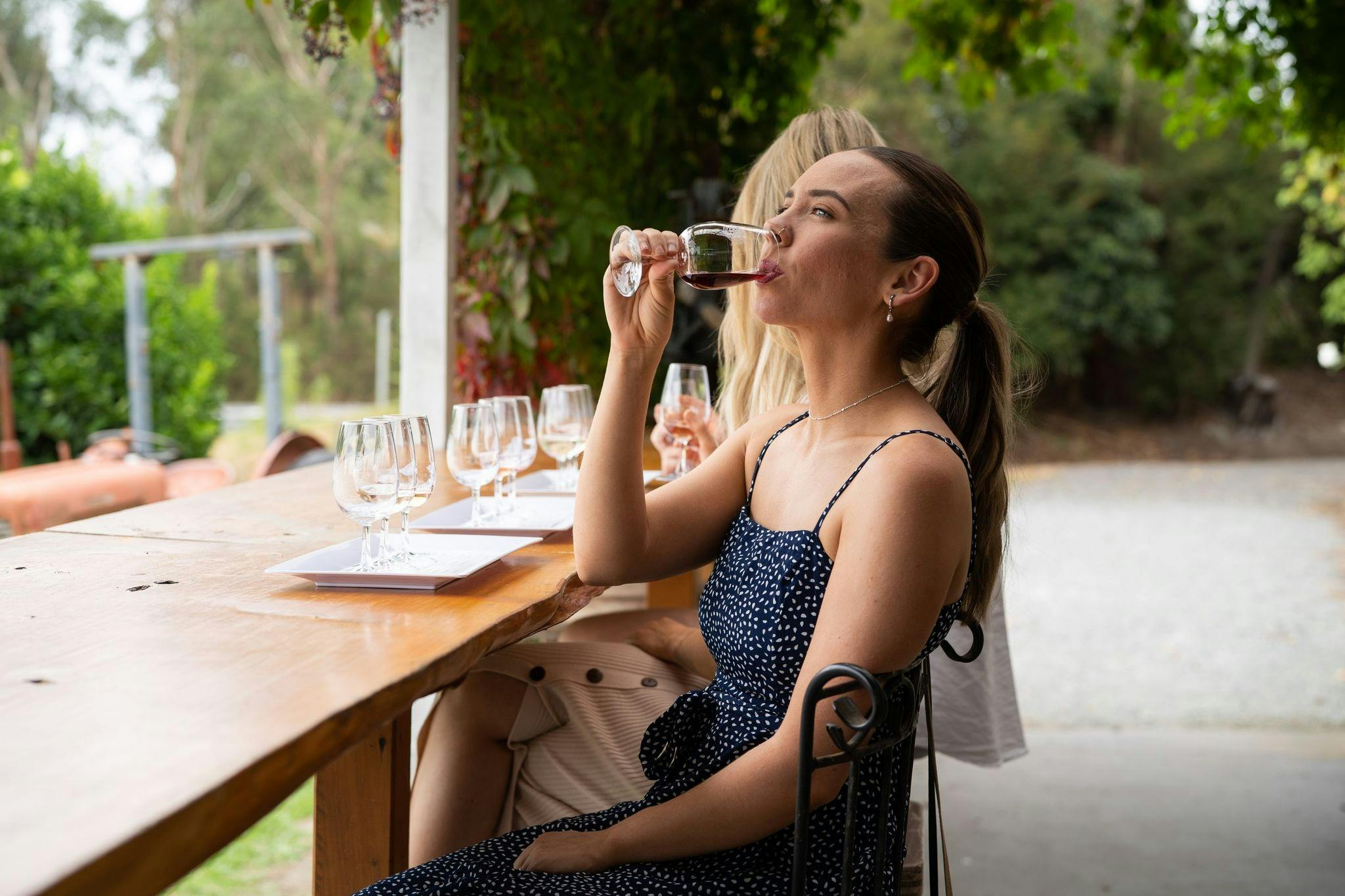 Southern Gippsland Wine & Tapas Tour