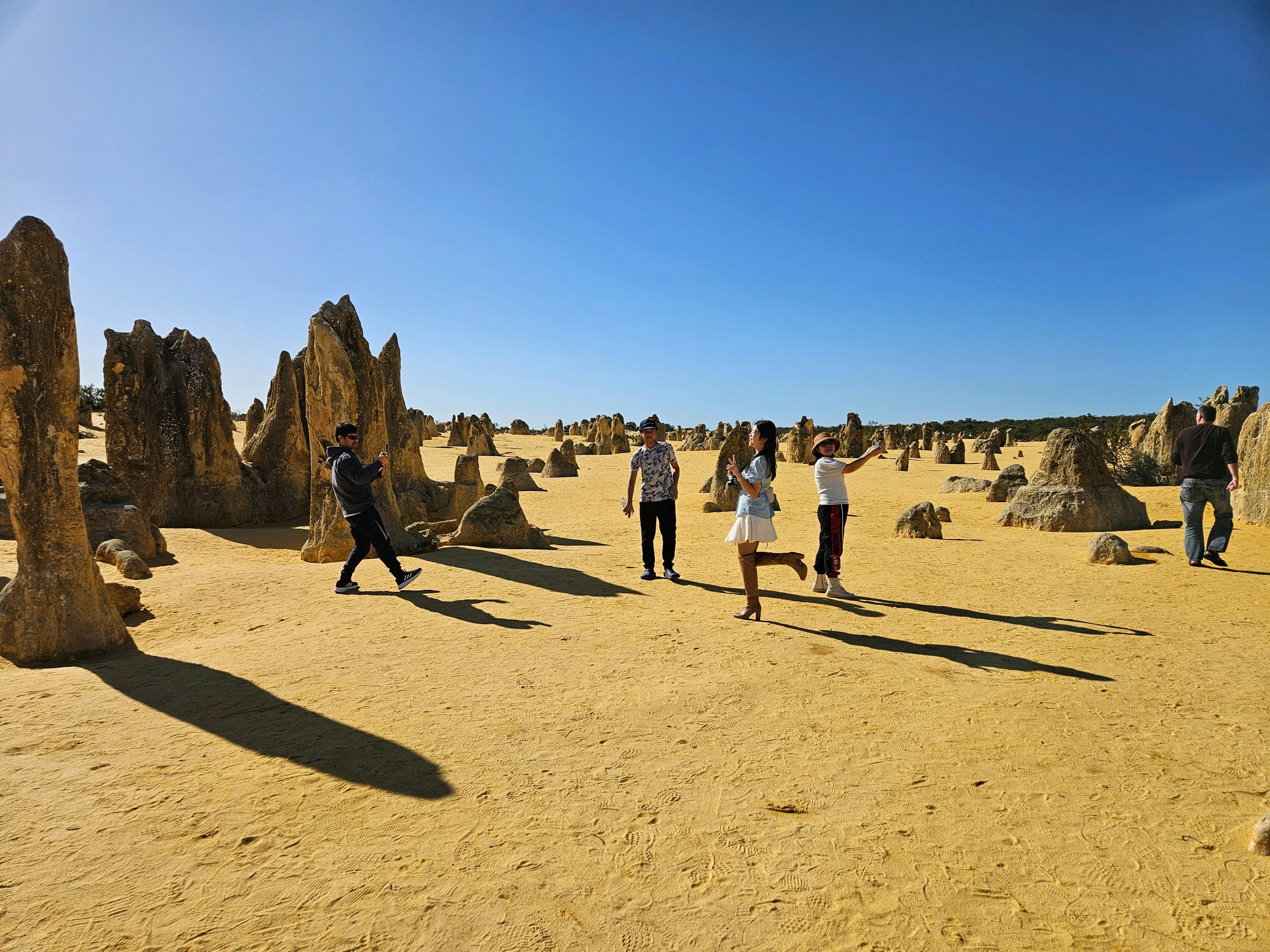 The Pinnacles Desert Tour