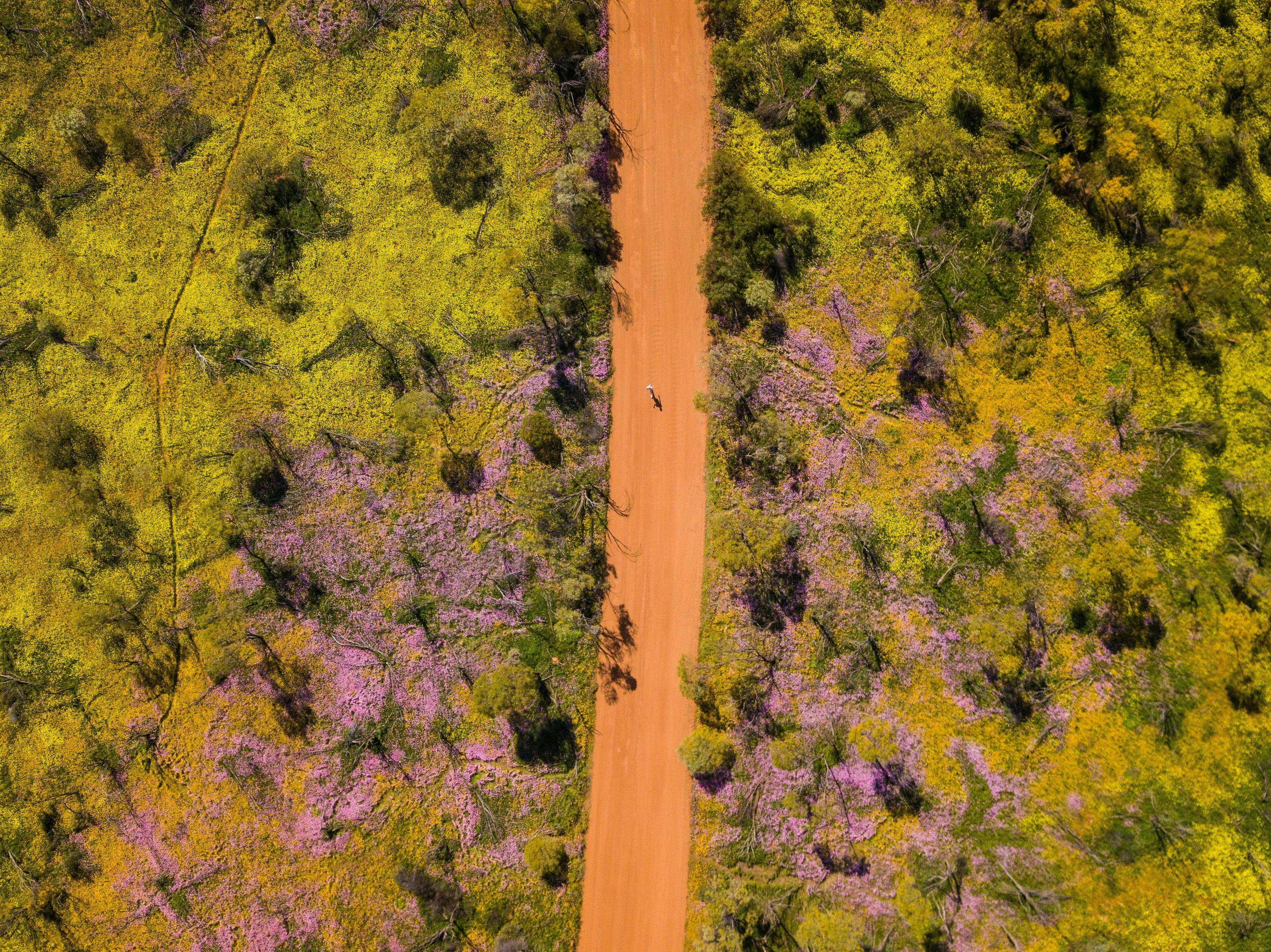 Coalseam Conservation Park