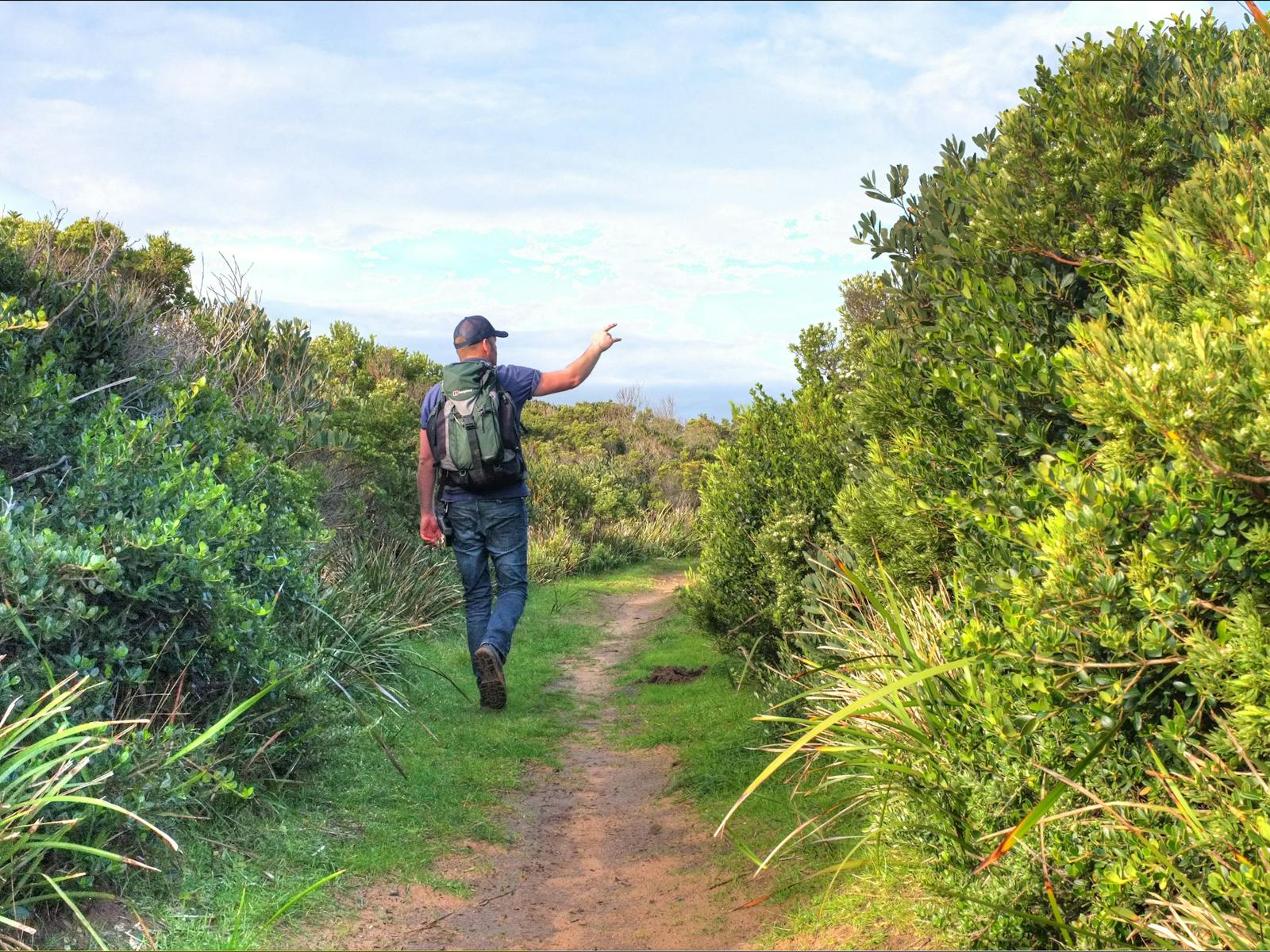 Guide Walk 91 Great Ocean Walk