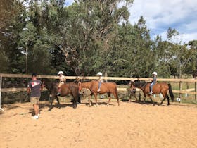 Natural Horsemanship School Holiday Clinics