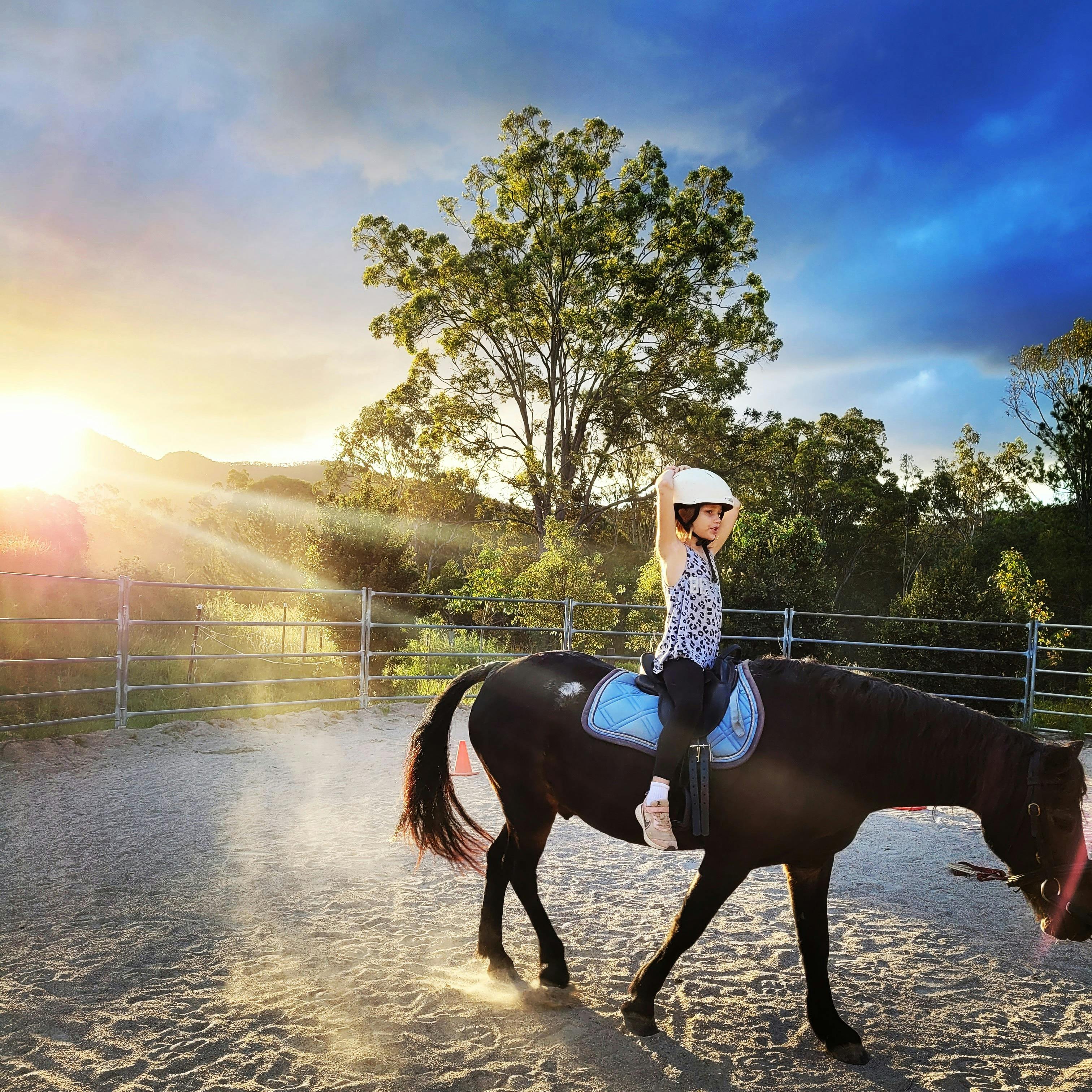 1, 2, 3hr Private Animal Tours