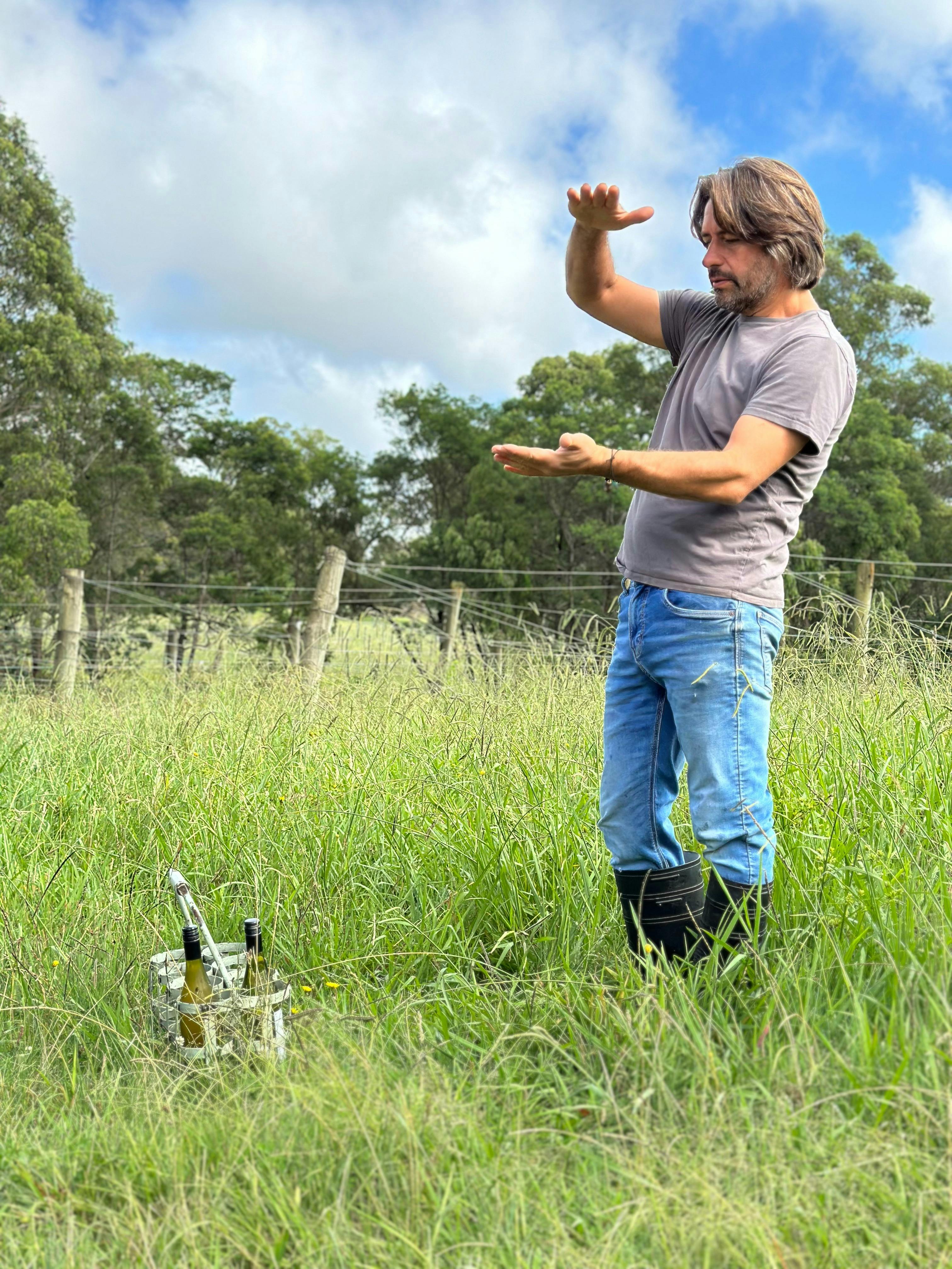 Regenerative viticulture