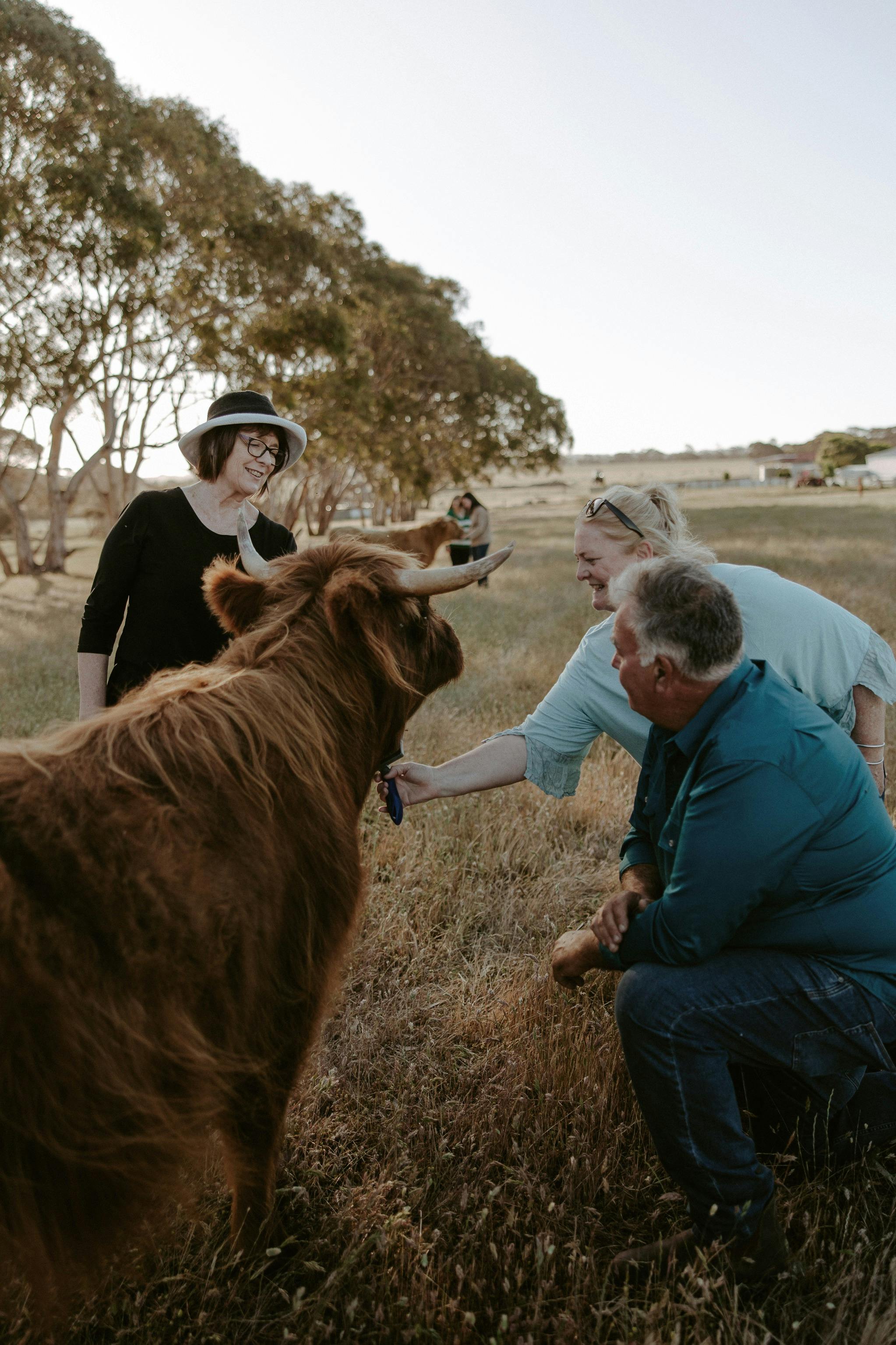 Three people brushing Bindi