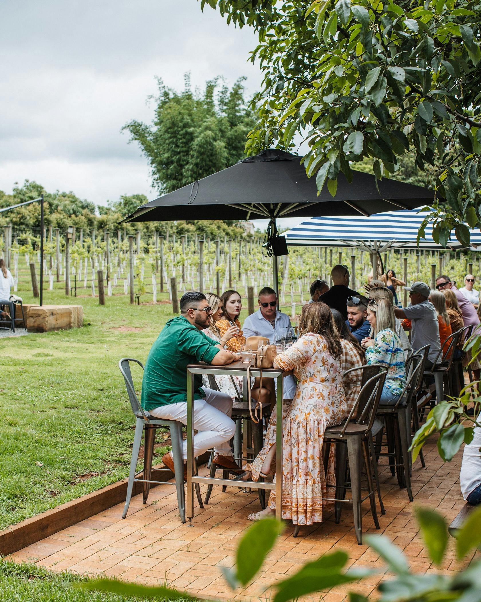 Wine tasting at Witches Falls Winery