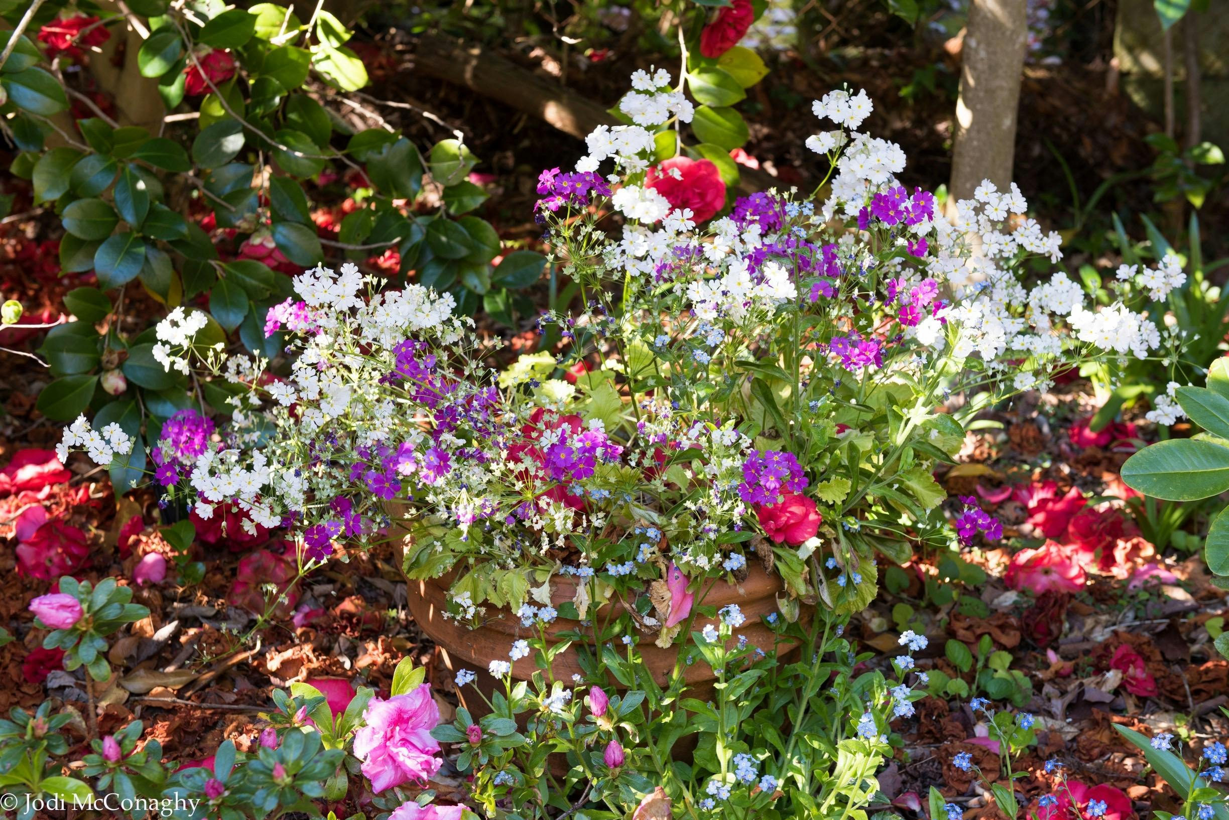 one of the open spring gardens in the festival