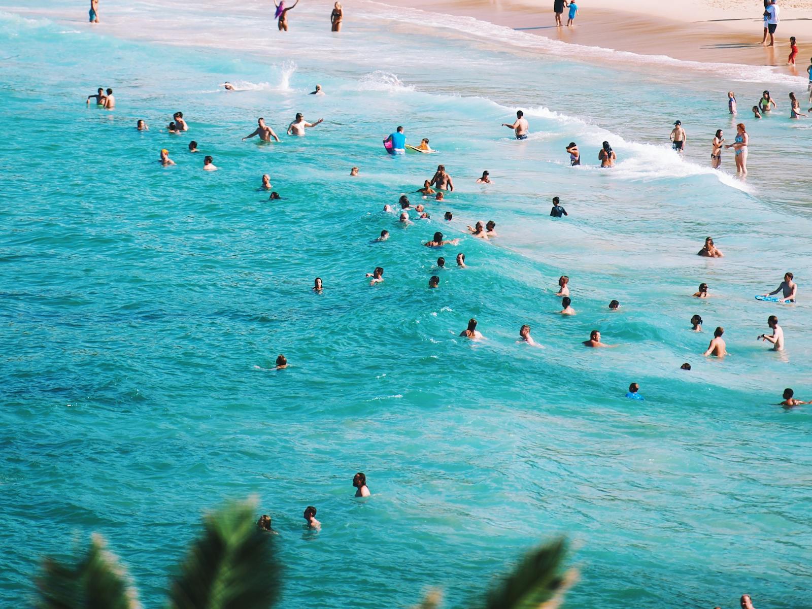 Bondi Surf