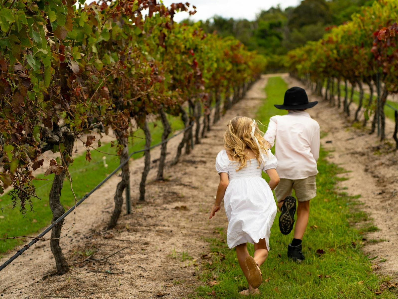 Kids Explore at Balancing Heart Vineyard on the Granite Belt, South-East Queensland