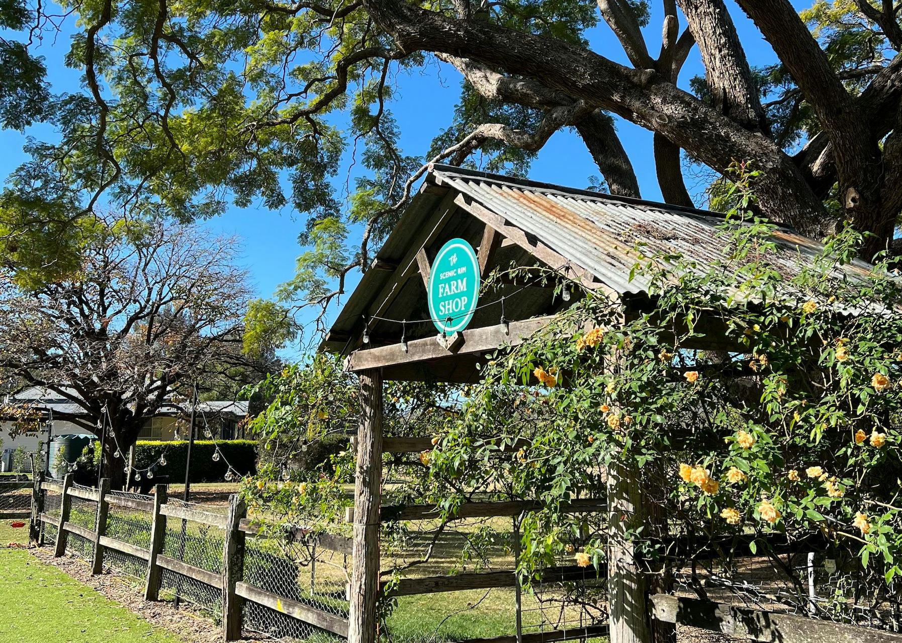 Scenic Rim Custom Tour