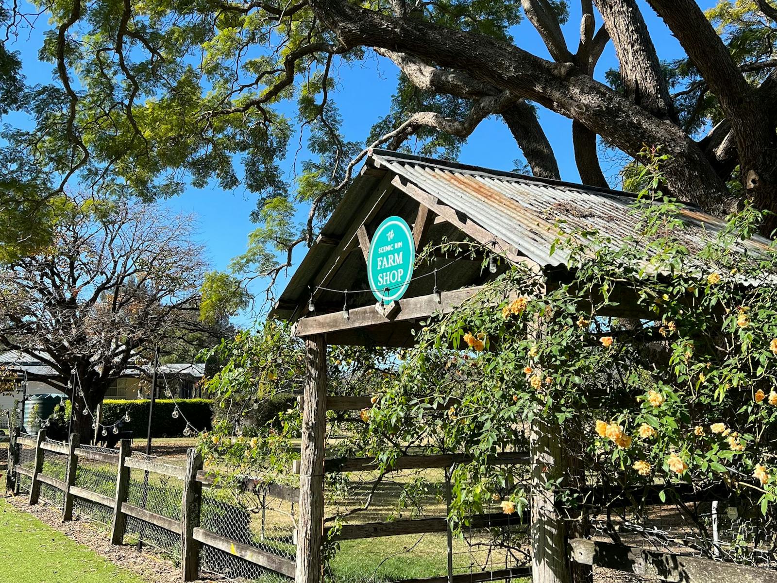 Scenic Rim Farm Shop & Elderflower Farm Scenic Rim Farm Shop & Elderflower Farm