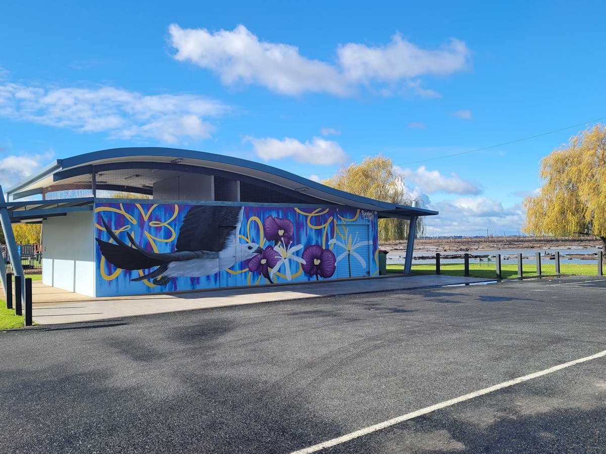 Mural of a white bellied sea eagle on teh side of the [ublic ammenities block at Mulwala Foreshore