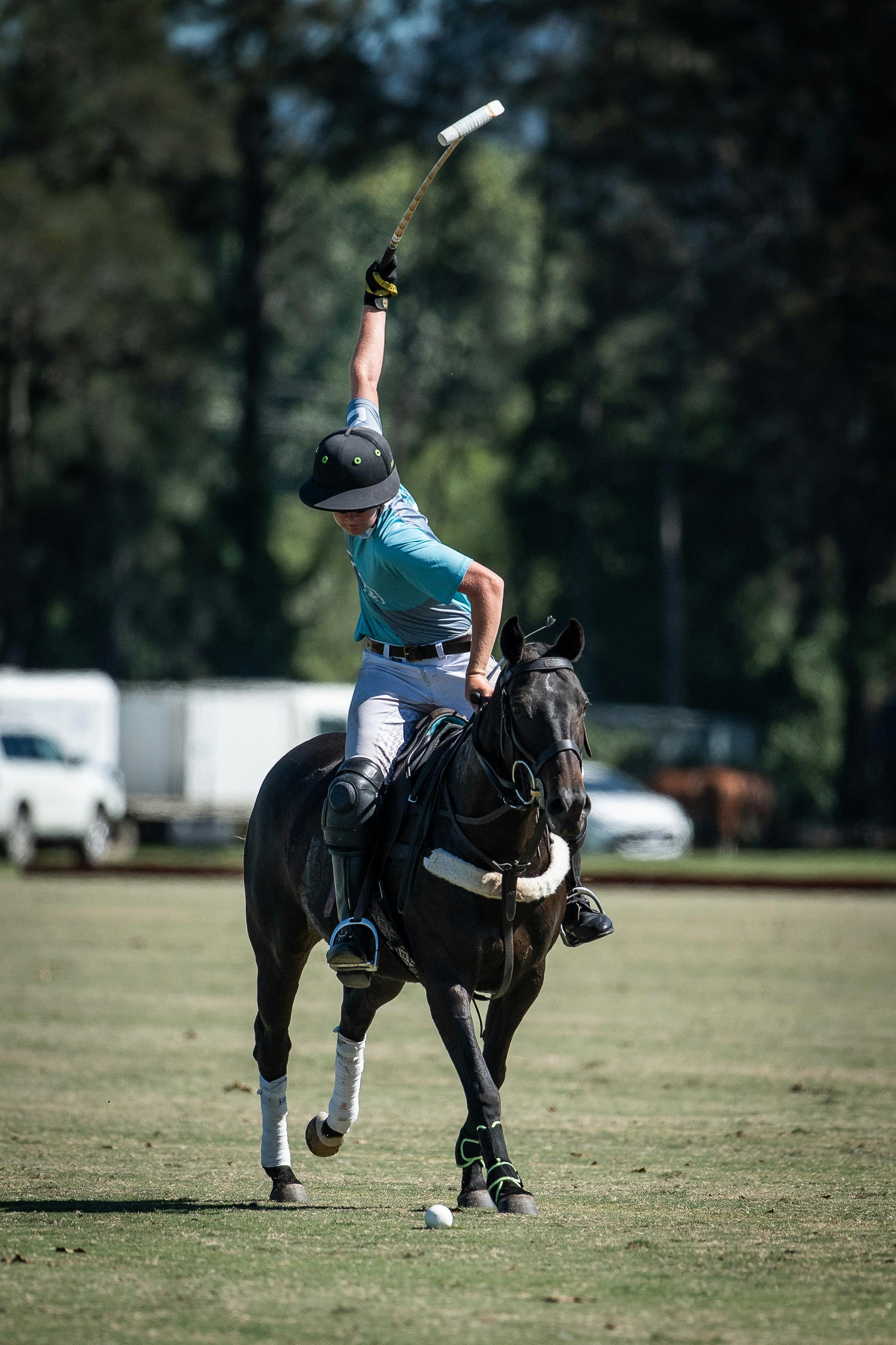 Polo in the Hawkesbury