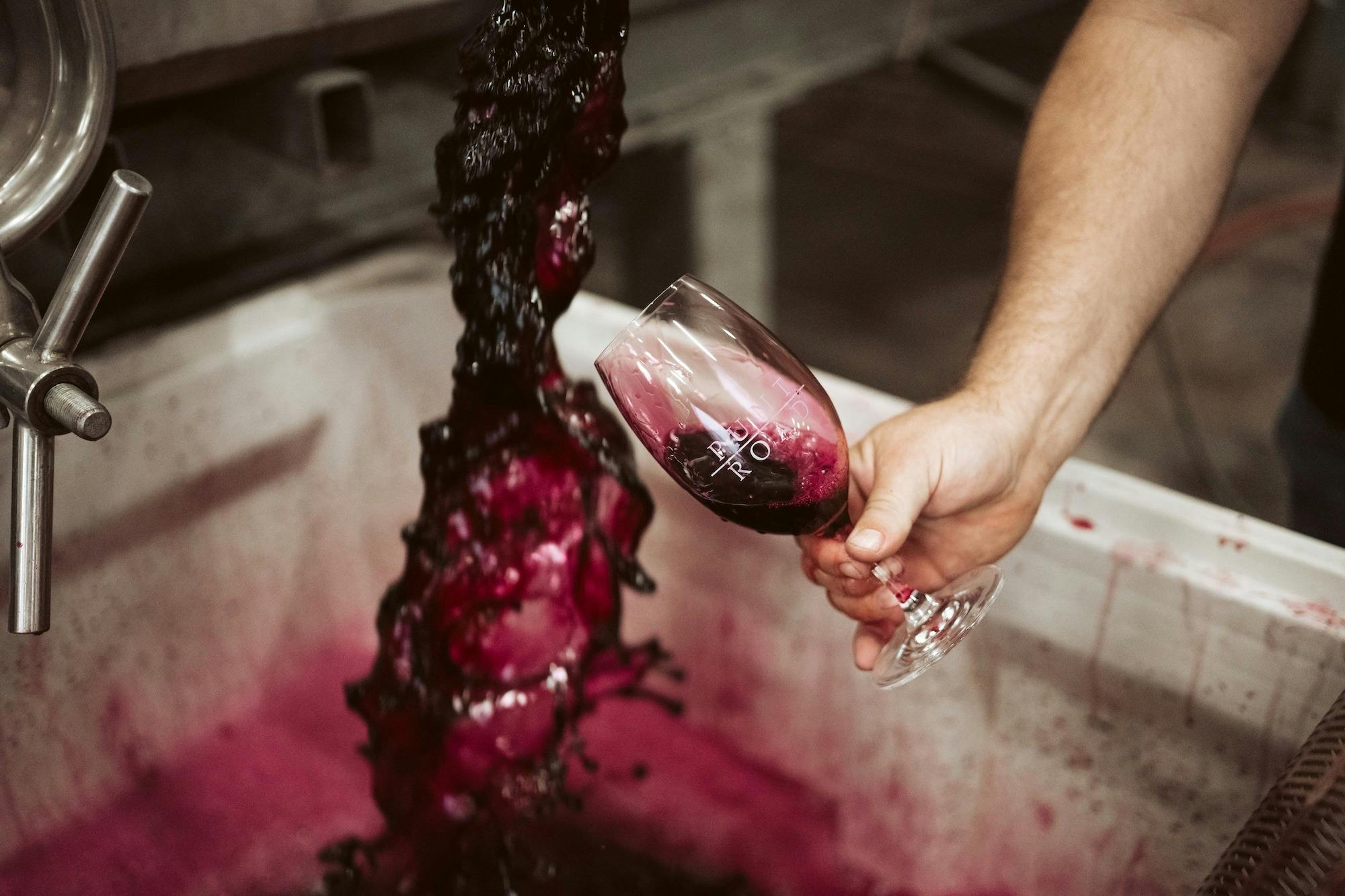 wine being pumped out of tank into a wine glass