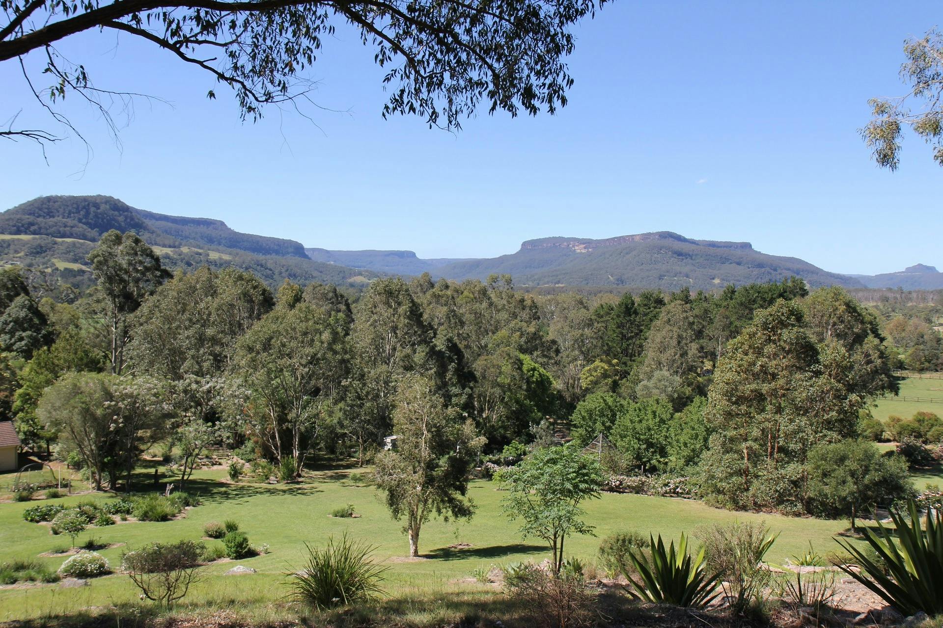 View across the treetops and lawns to the Kangaroo Valley escarpment