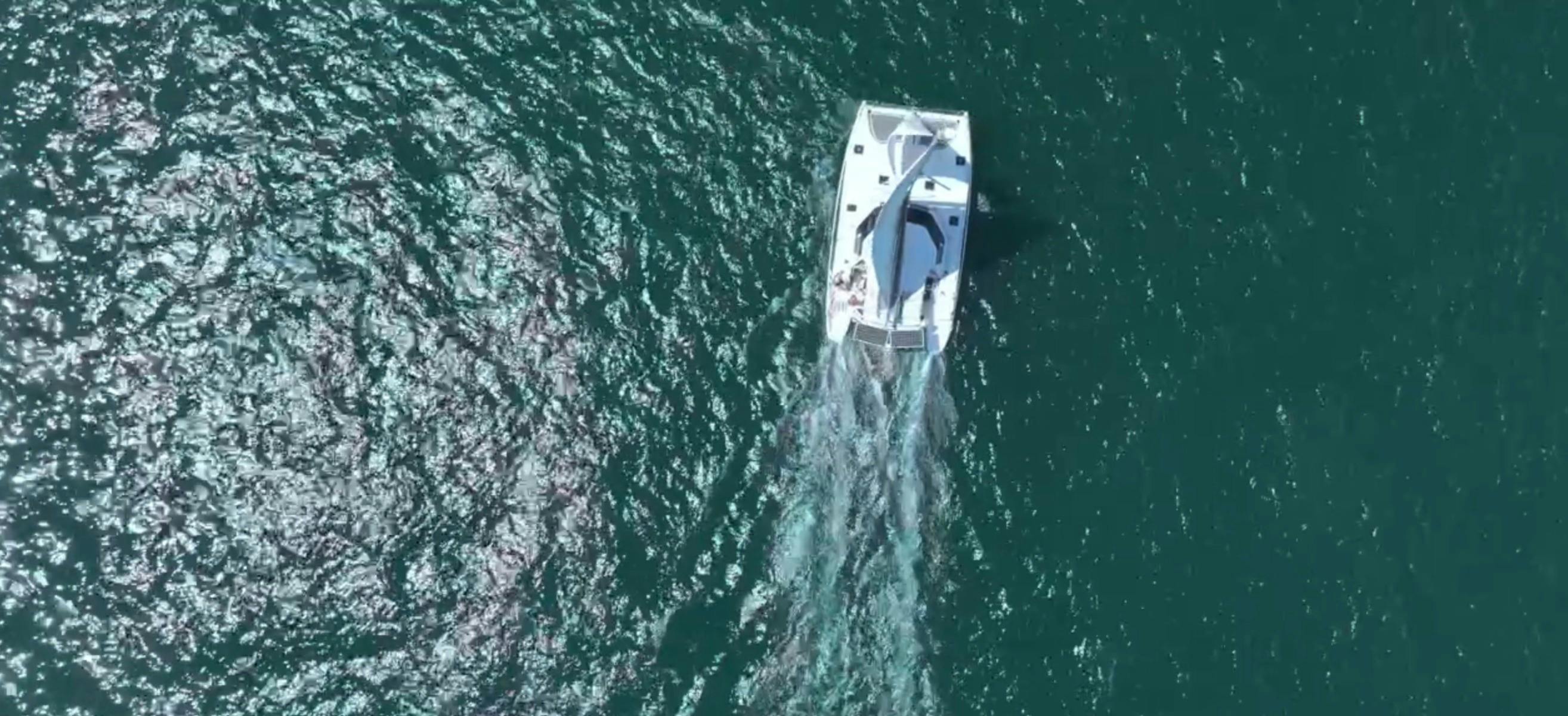 Pittwater and Broken Bay Private Yacht Charter
