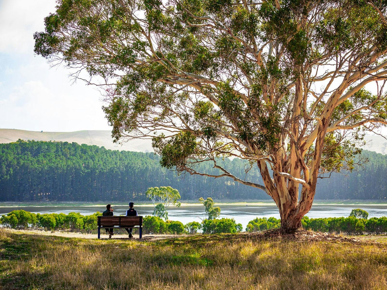 Scenic lookouts and places to relax available at Myponga Reservoir Reserve