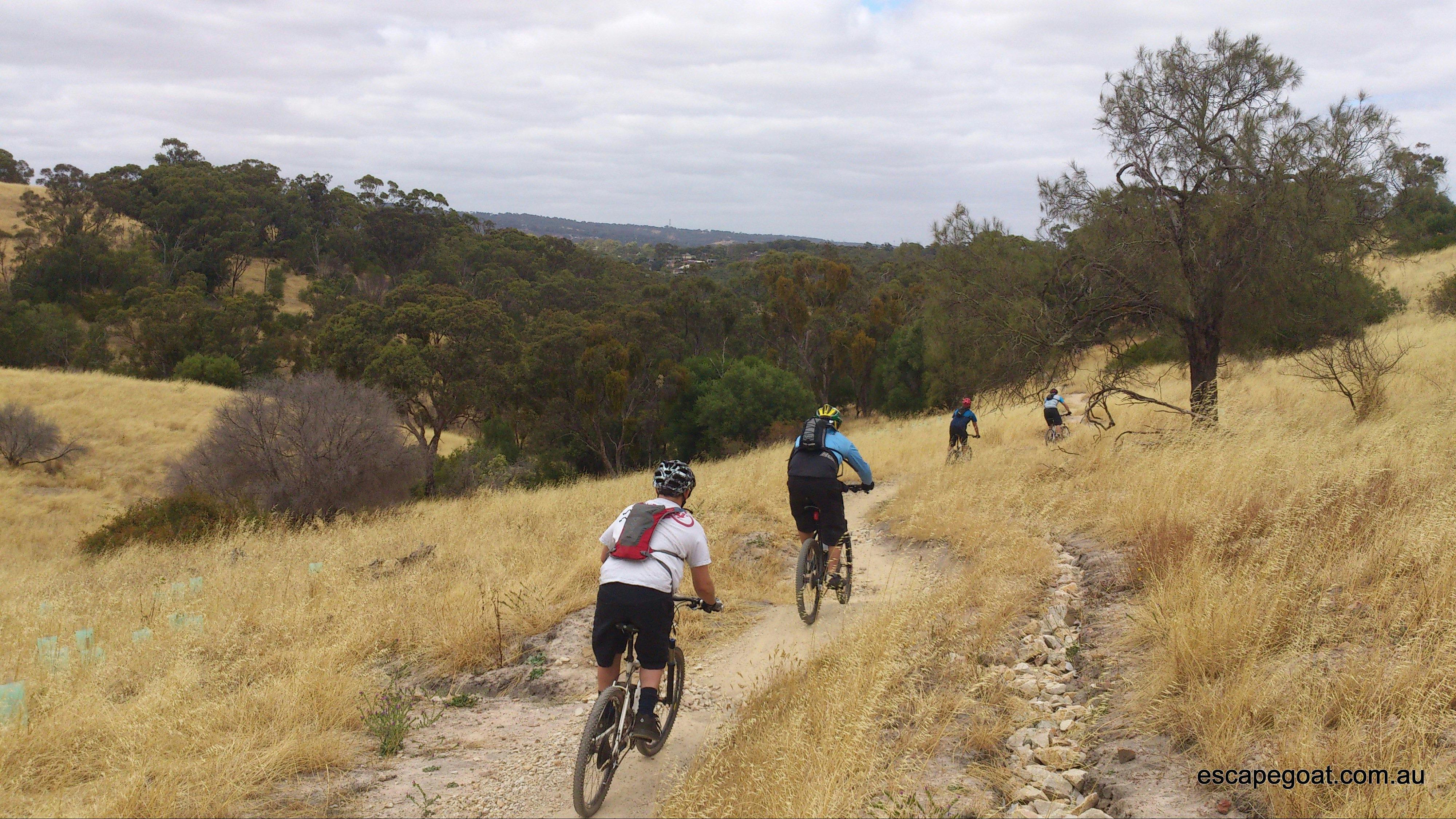 Adelaide Hills by Mountain Bike- Private Guiding