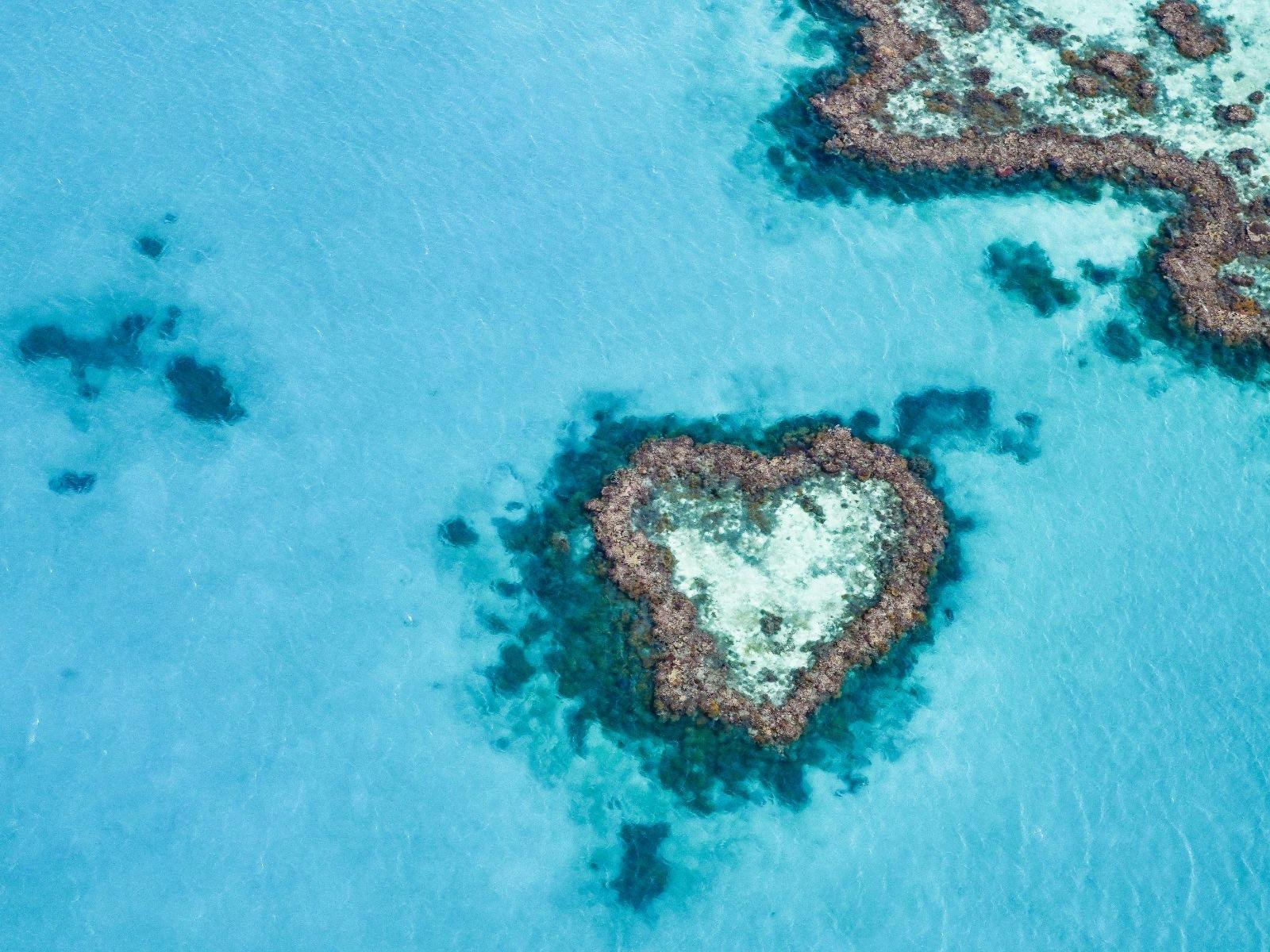 Heart of Reef in Whitsundays