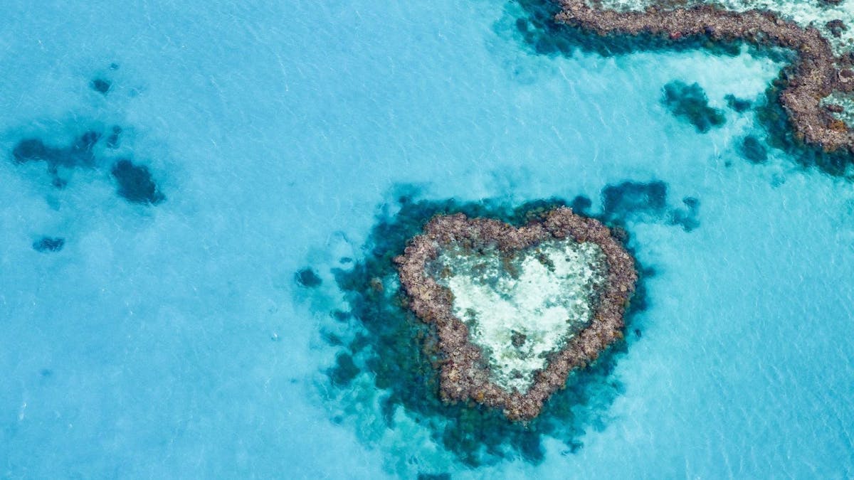 Heart of Reef in Whitsundays
