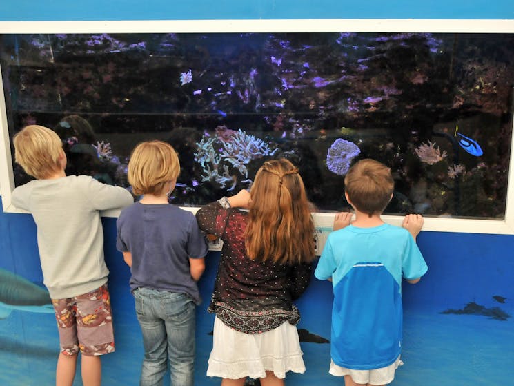aquarium-kids