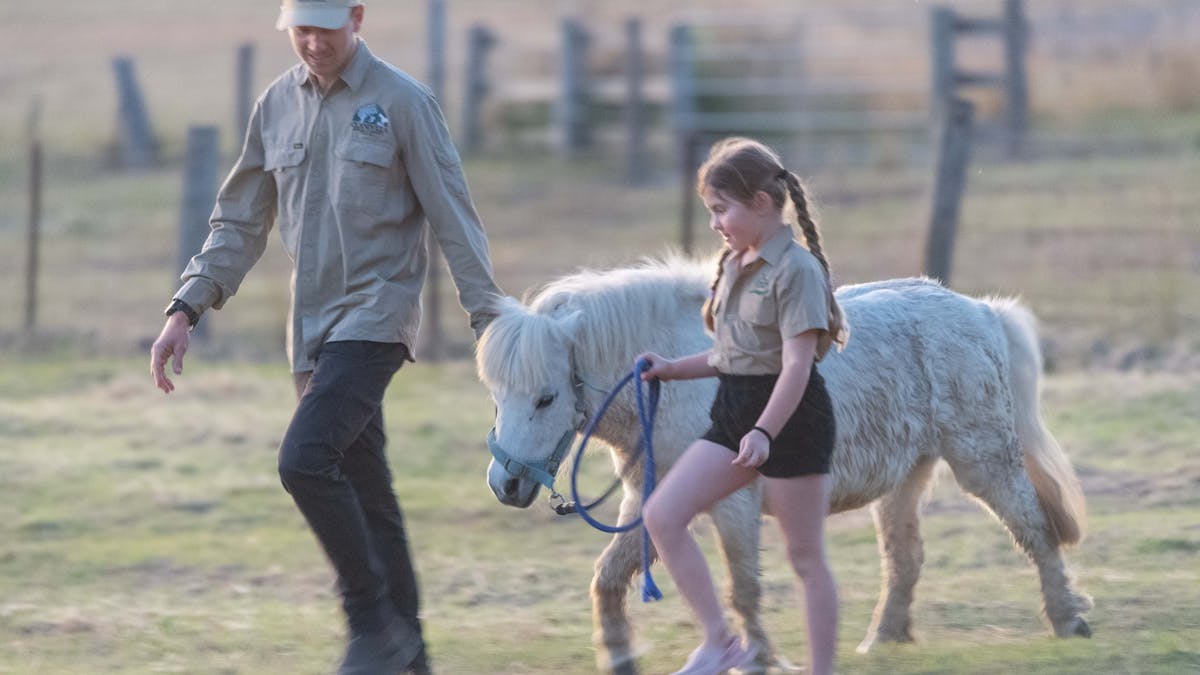 Clandulla Cottages farm tour and animal interaction