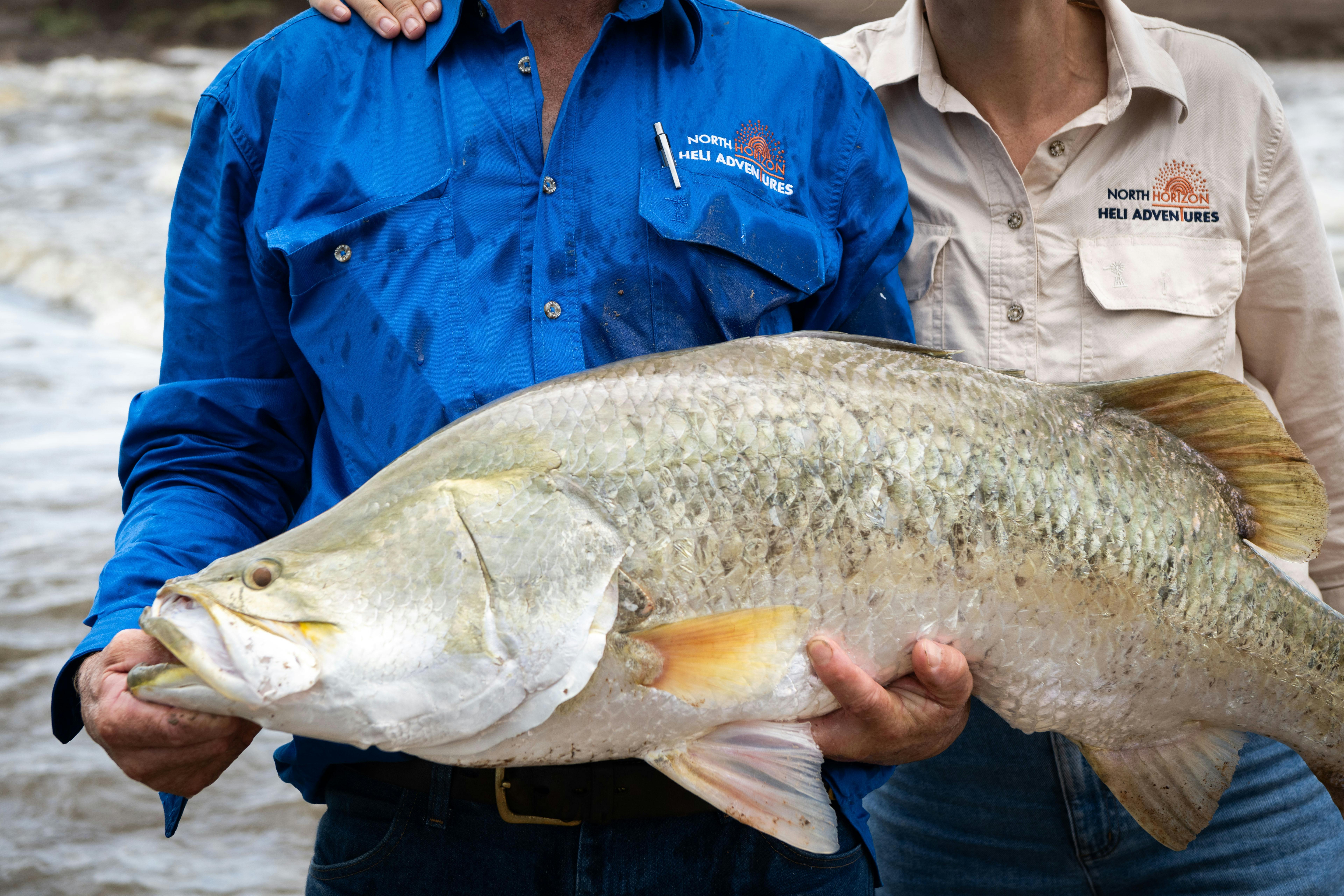 99cm Barra
