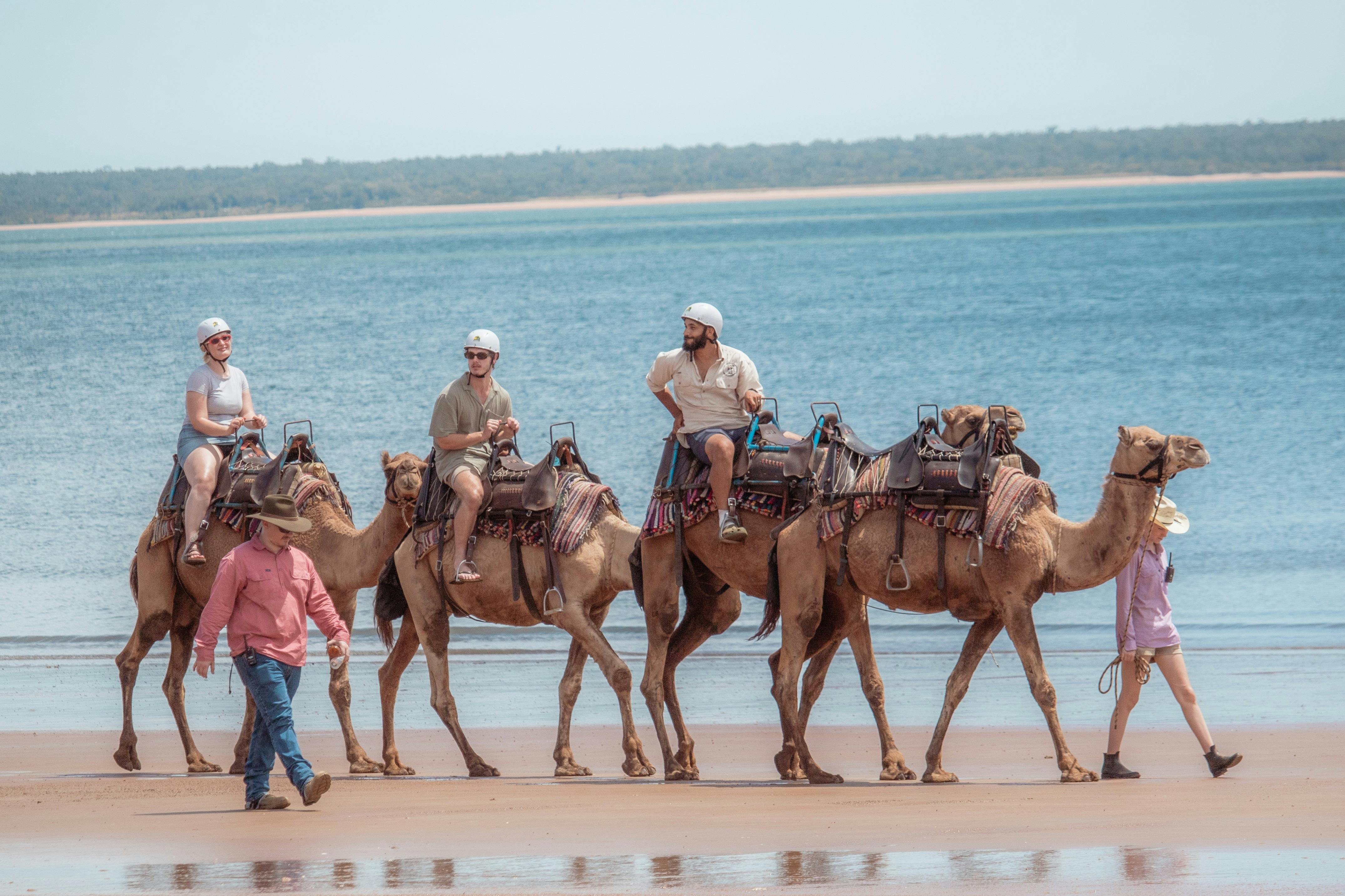 Beach Camel Ride