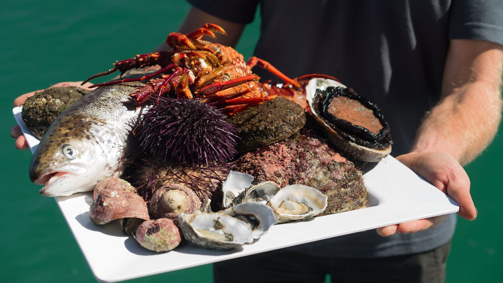Platter of Tasmanian Seafood