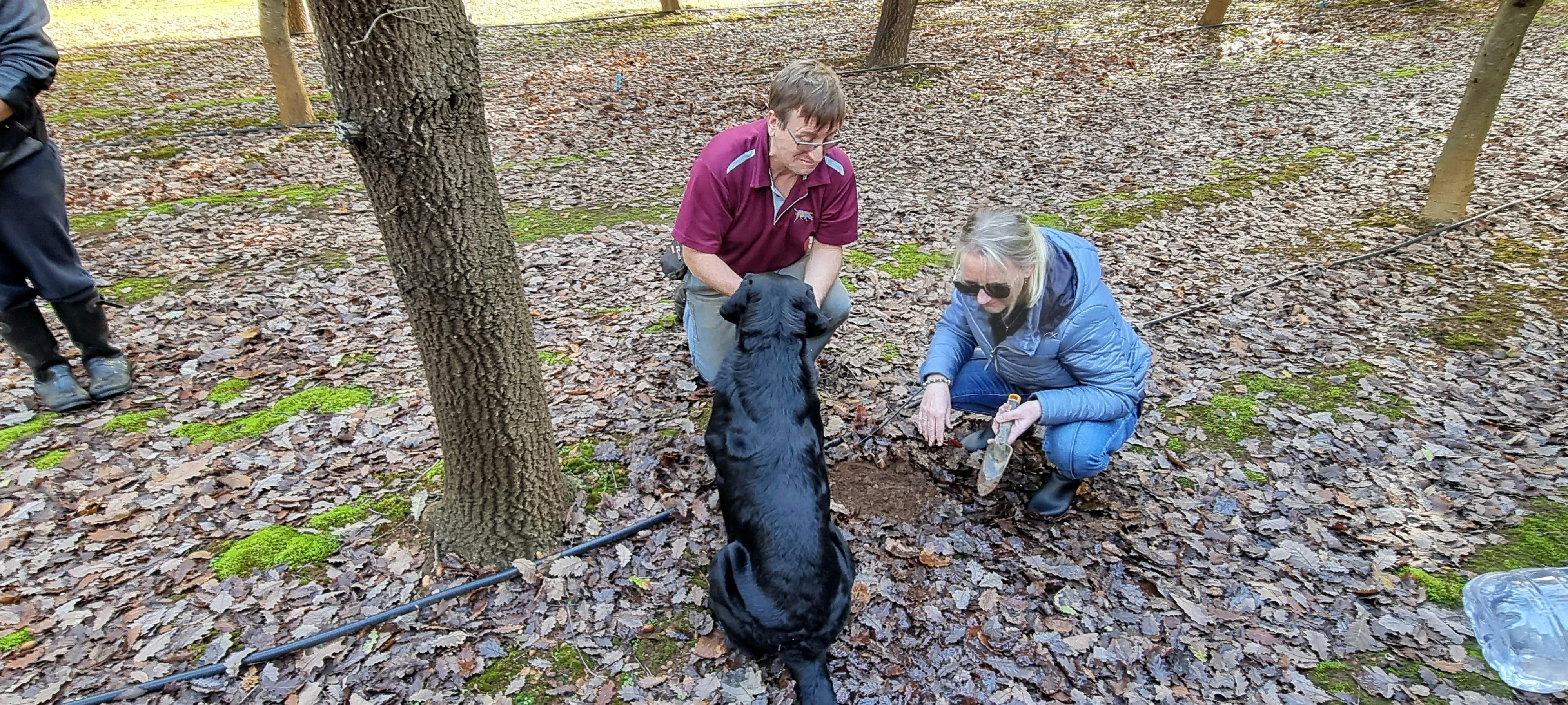 Guest finding a truffle with Truffle Dog, Max
