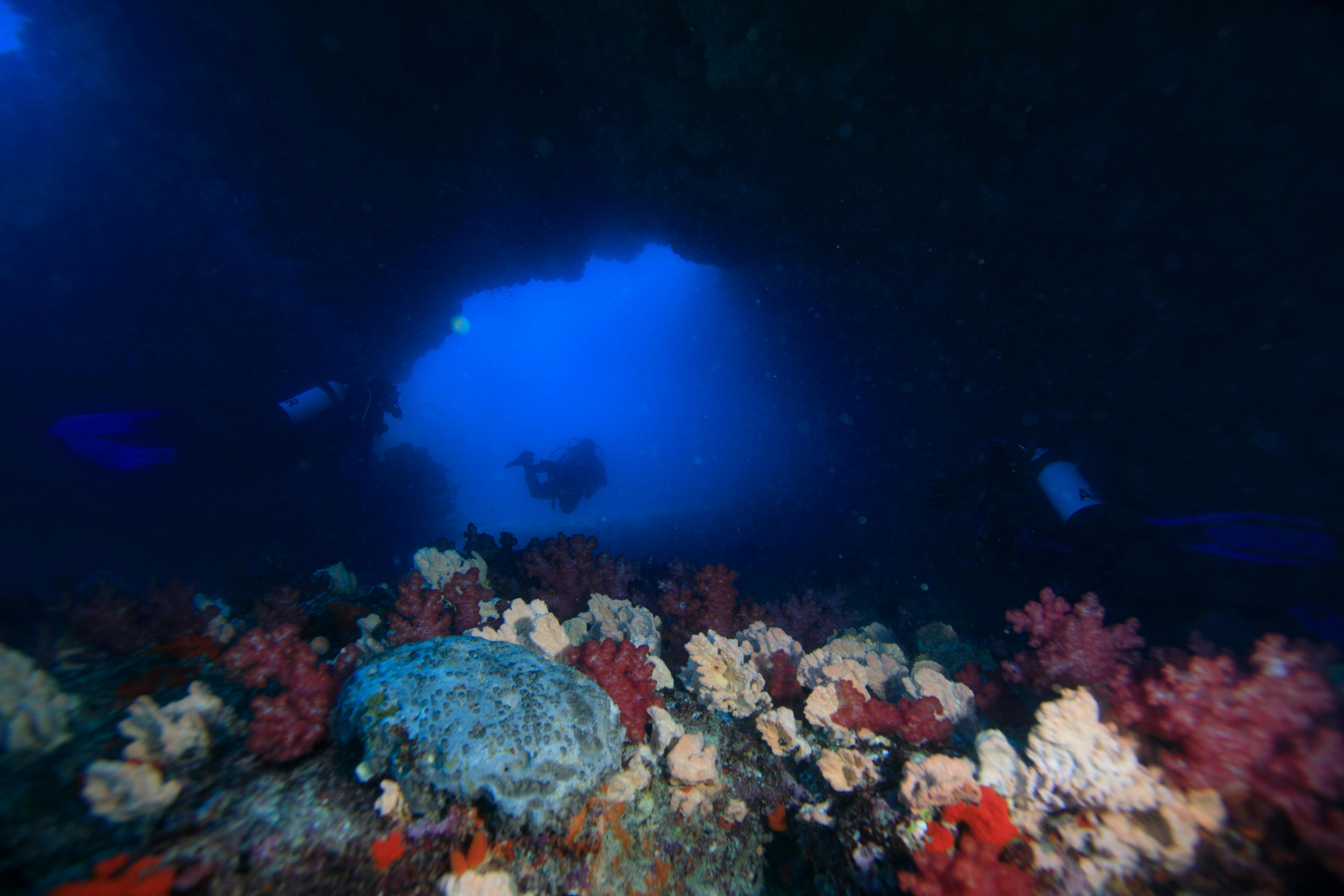 Shark Bay Dive and Marine Safaris, Shark Bay, Western Australia