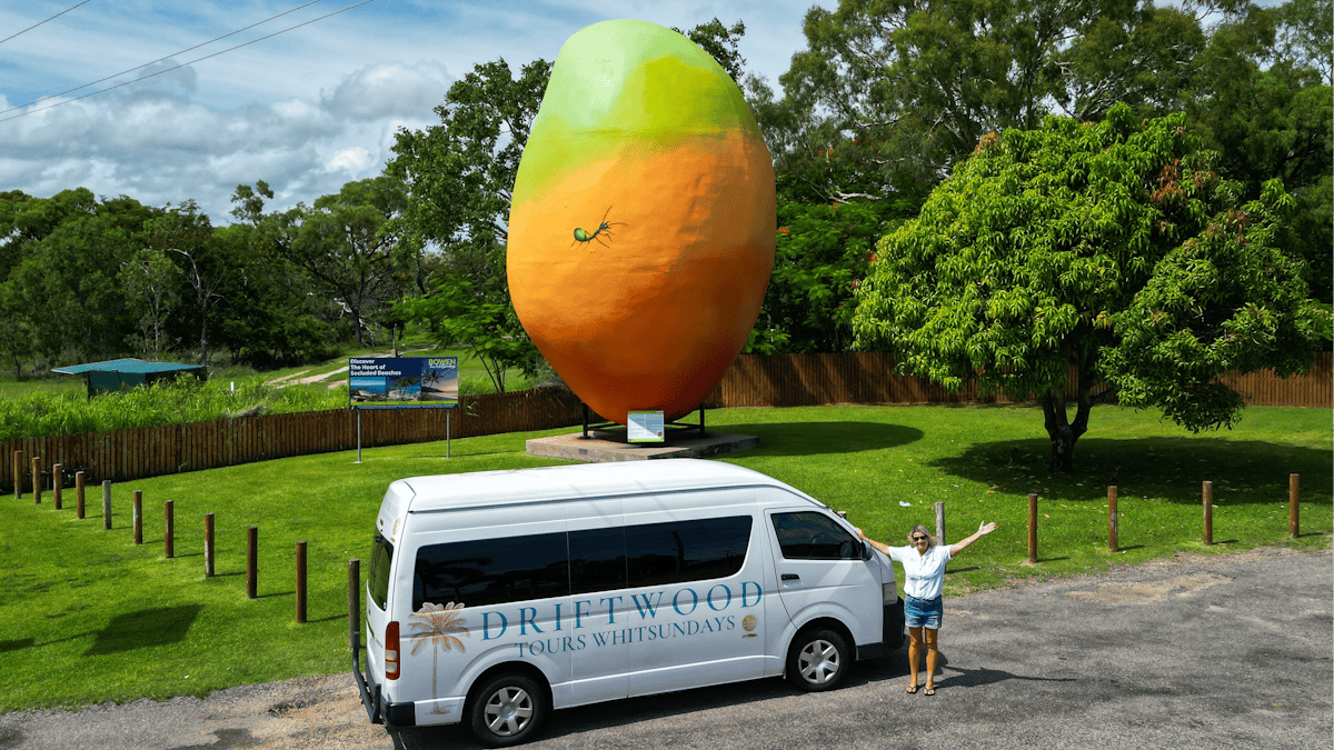 Big Mango Bowen