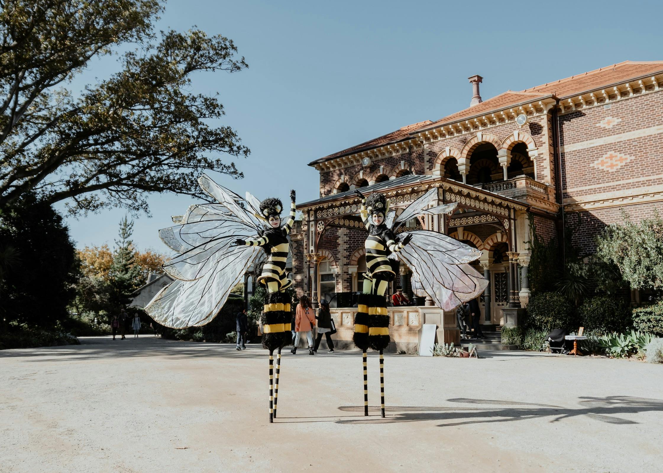 Botanica Festival