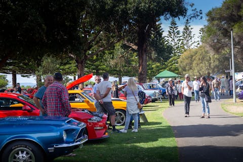 Vines and Caves - Exploring the Valley 59 d37892d8ad9bc3517aab72533458852d