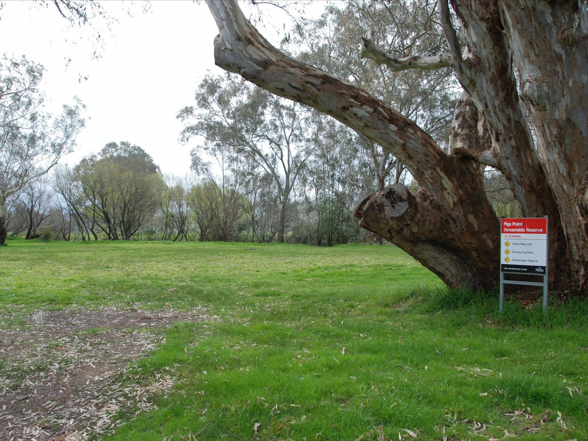 Pigs Point Streamside Reserve