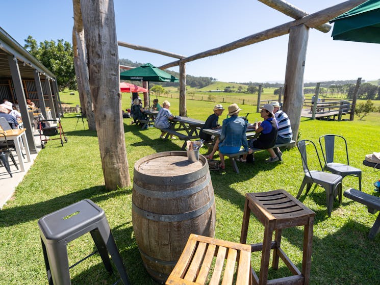 Live Music on the Lawn